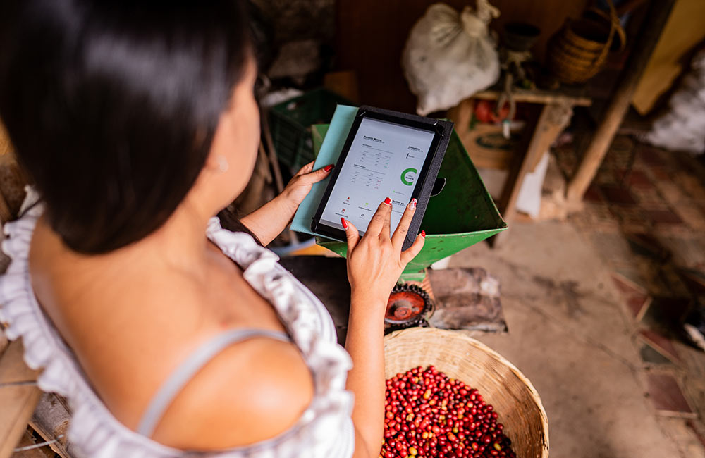 Как ИИ меняет кофейную индустрию