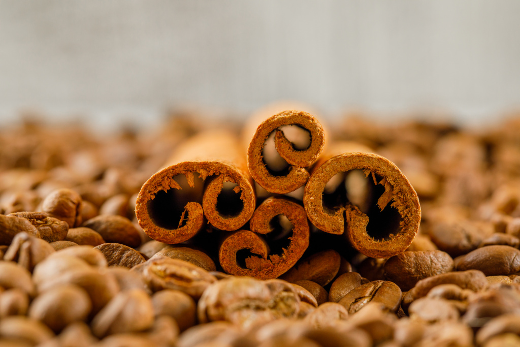 spread-coffee-seeds-cinnamon-sticks-side-view.jpg