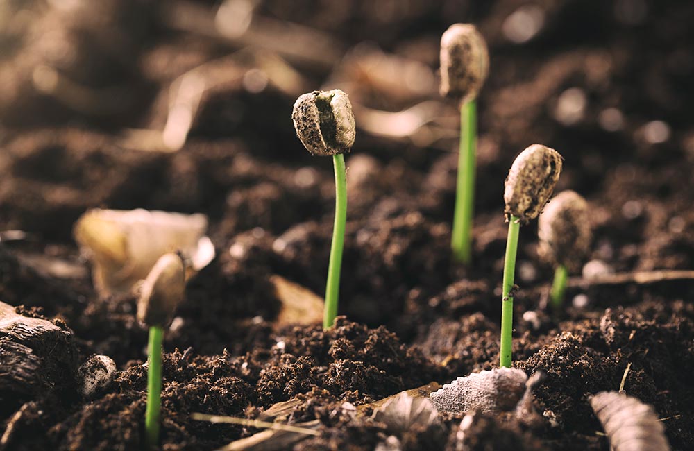 Из чего складывается цена кофе