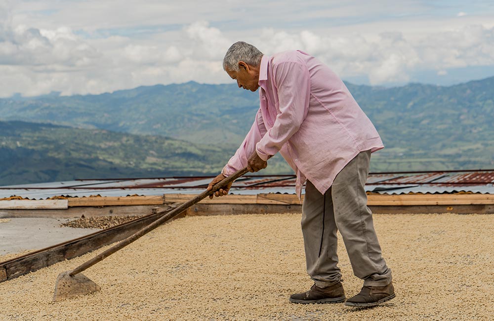 Из чего складывается цена кофе